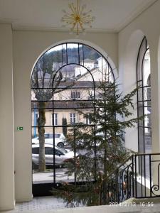 Appartements Grand T2 de charme, confort 3*, face aux Thermes. : photos des chambres