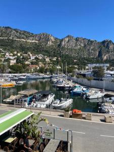 obrázek - Surplombant le port de Beaulieu sur mer