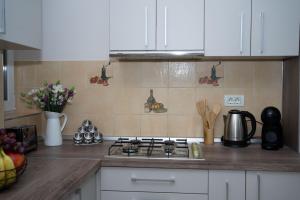 ARAD PLAZA Viktoria Apartament