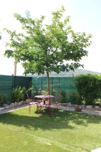 Maisons de vacances Location Gite avec Piscine Luberon ARTEMISS : photos des chambres