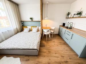 Studio Apartment Trenčín