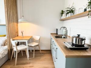 Studio Apartment Trenčín