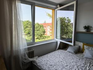 Studio Apartment Trenčín