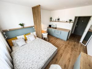 Studio Apartment Trenčín