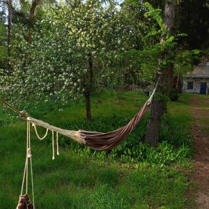 Augustówka - letnisko na Wrzosowiskach