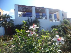 Ilis Villas Ilia Greece