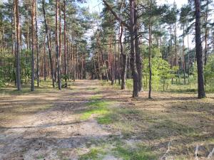 Augustówka - letnisko na Wrzosowiskach