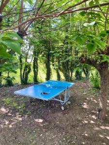 Maisons de vacances Le Gite des poiriers : photos des chambres