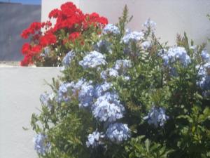 Ilis Villas Ilia Greece