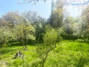 GuestHouseBjni - Vardanavan