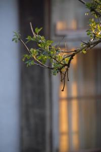 MYdomek . Mały Domek w Kazimierzu