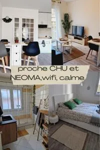 ANTOINE, madamedemconciergerie - Bezannes