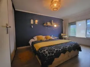 BLAUWE DRUIF - Heeswijk-Dinther