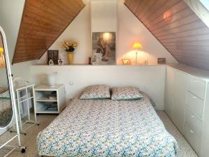 Villas Villa front de mer les Cordylines : photos des chambres