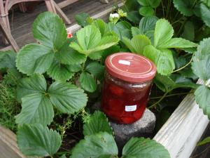 B&B / Chambres d'hotes Le Relais de la Praya : photos des chambres