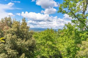 Maisons de vacances Orangerie : photos des chambres