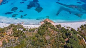 Bocca by DomusAway img34