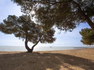 Maisons de vacances Holiday Home Miramar by Interhome : photos des chambres