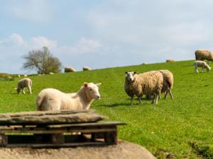 Chalet Sycamore Hot Tub Lodge by Interhome