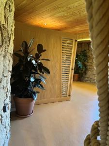Hotels Domaine Pozzo di Mastri hotel & spa : photos des chambres