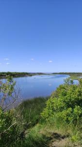 Appartements Superbe appartement en rez-de-jardin a LANTON : Appartement 1 Chambre