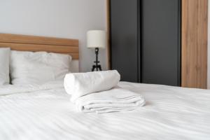 Raciborska 2-Bedroom Apartment by BookingHost