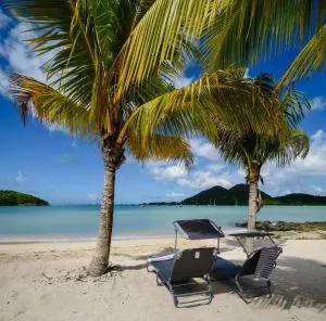 True North Villa - Waterfront on Jolly Harbour - Dickenson Bay