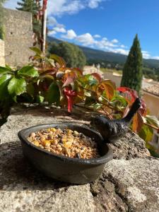 Maisons de vacances La Maisonnette de Bedoin Mont Ventoux - Self Check In : photos des chambres