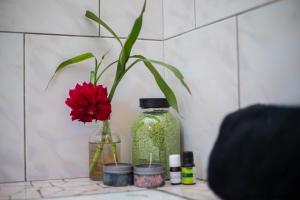 MANGA BLUES GUEST HOUSE