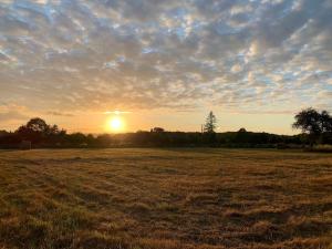 Maison lumineuse et rénovée au cœur du Perche