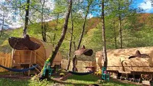 La Căruțe - Voineasa