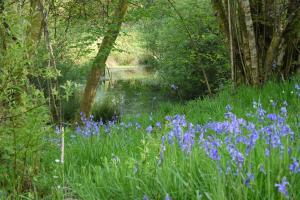 The Annexe at Riverside Cottage