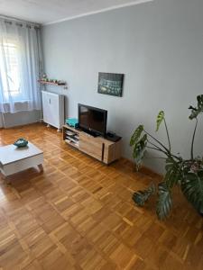 Apartament 18