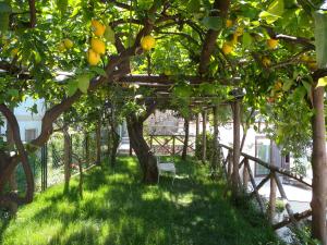 Villa Rafael - A Romantic Gem in Amalfi Coast