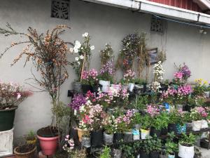 Moktan Homestay, Darjeeling