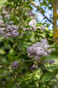 Maisons de vacances Mas d'Helene, charme en Provence : photos des chambres