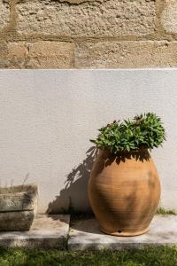 Maisons de vacances Mas d'Helene, charme en Provence : photos des chambres