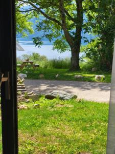 Maisons de vacances L'Alpage, vue lac : photos des chambres