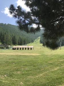 Appartements Appartement Chaleureux La Montagne : Appartement Supérieur 2 Chambres 