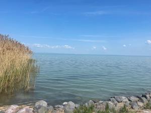 Luxury Apartment Club218