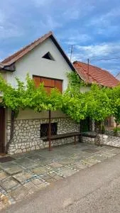 Ubytování Pod Hrozny - Podivín