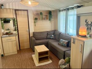 Campings Tiki House M-Home-Climatise - Belle parcelle ! : photos des chambres