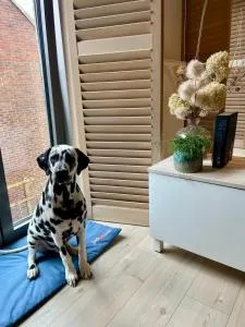 Bonne Suite Chambre d'Hotes - Geulle