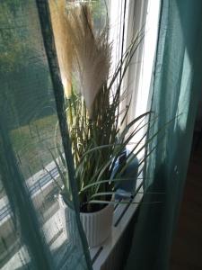 Bambinas Guest House Hässleholm