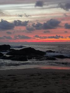 Casa Mari Black Stallion