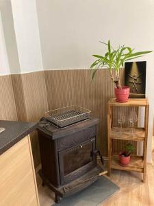 Cozy studio in the city center