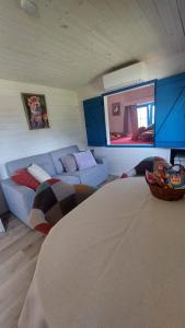 Pibo B&B Babbita