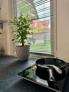 Lovely view apartments