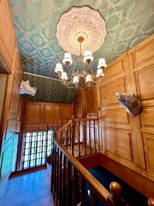 Maisons d'hotes Chateau le Withof : photos des chambres