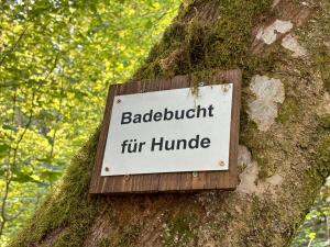 Plätzchen am Krebsberg für alle Fä(e)lle